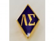 Lambda Sigma Pin